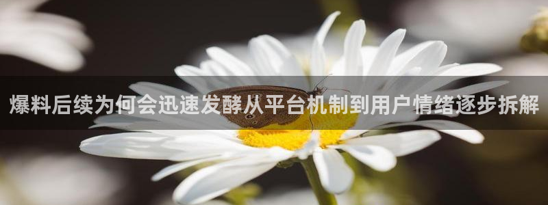 91吃瓜今日新闻