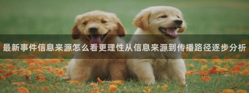 91吃瓜爆料话题